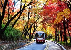 南山公园